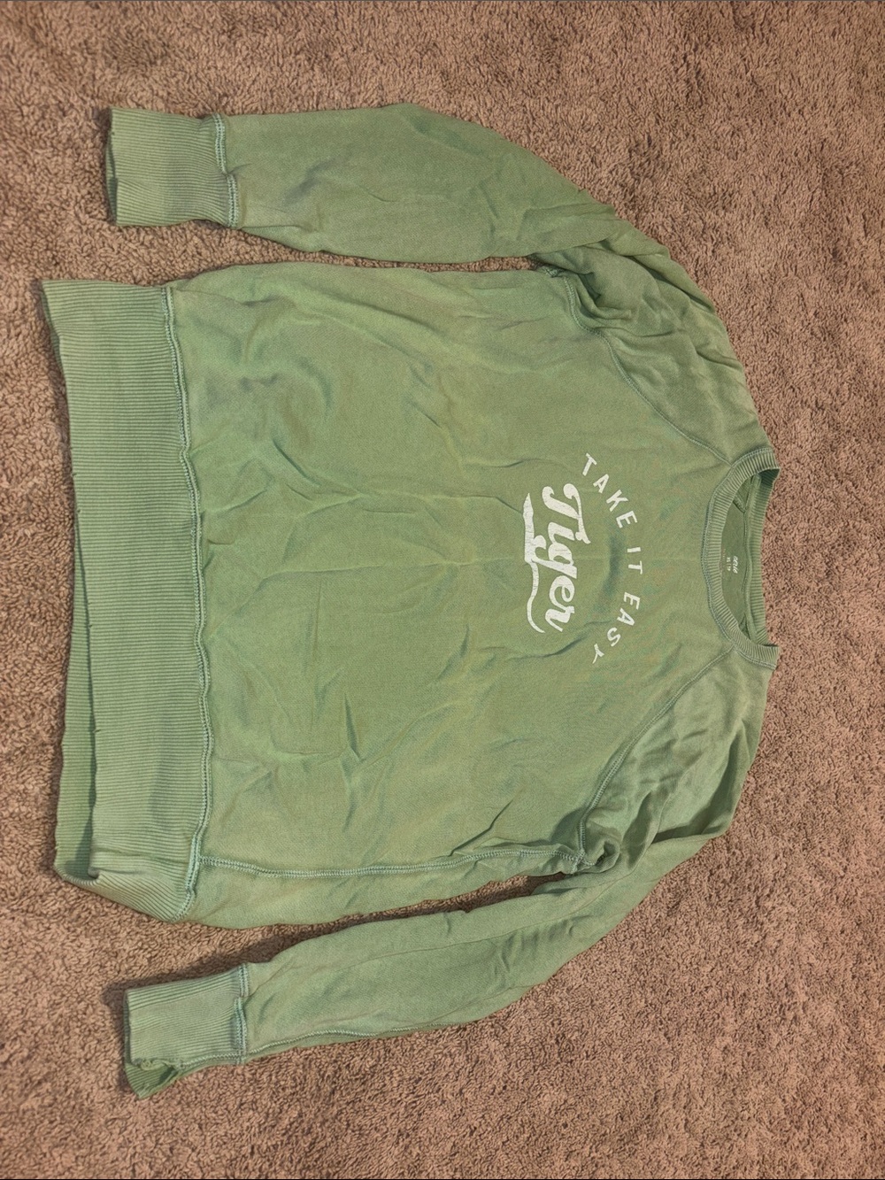 aerie Green "Take It Easy Tiger" Crewneck Sweatshirt